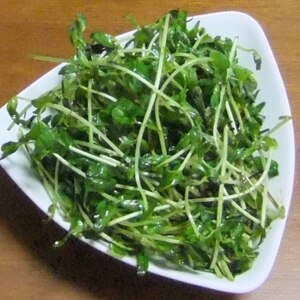 超簡単☆豆苗の美味しい食べ方